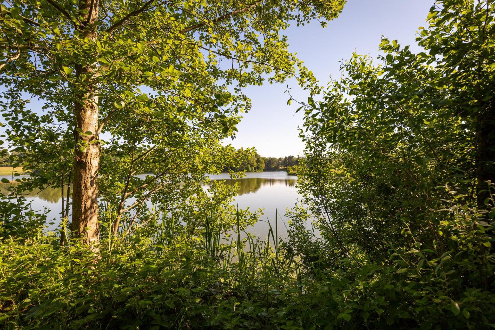 Ferienhaus Am Moenchneversdorfer See Schonwalde am Bungsberg Eksteriør bilde