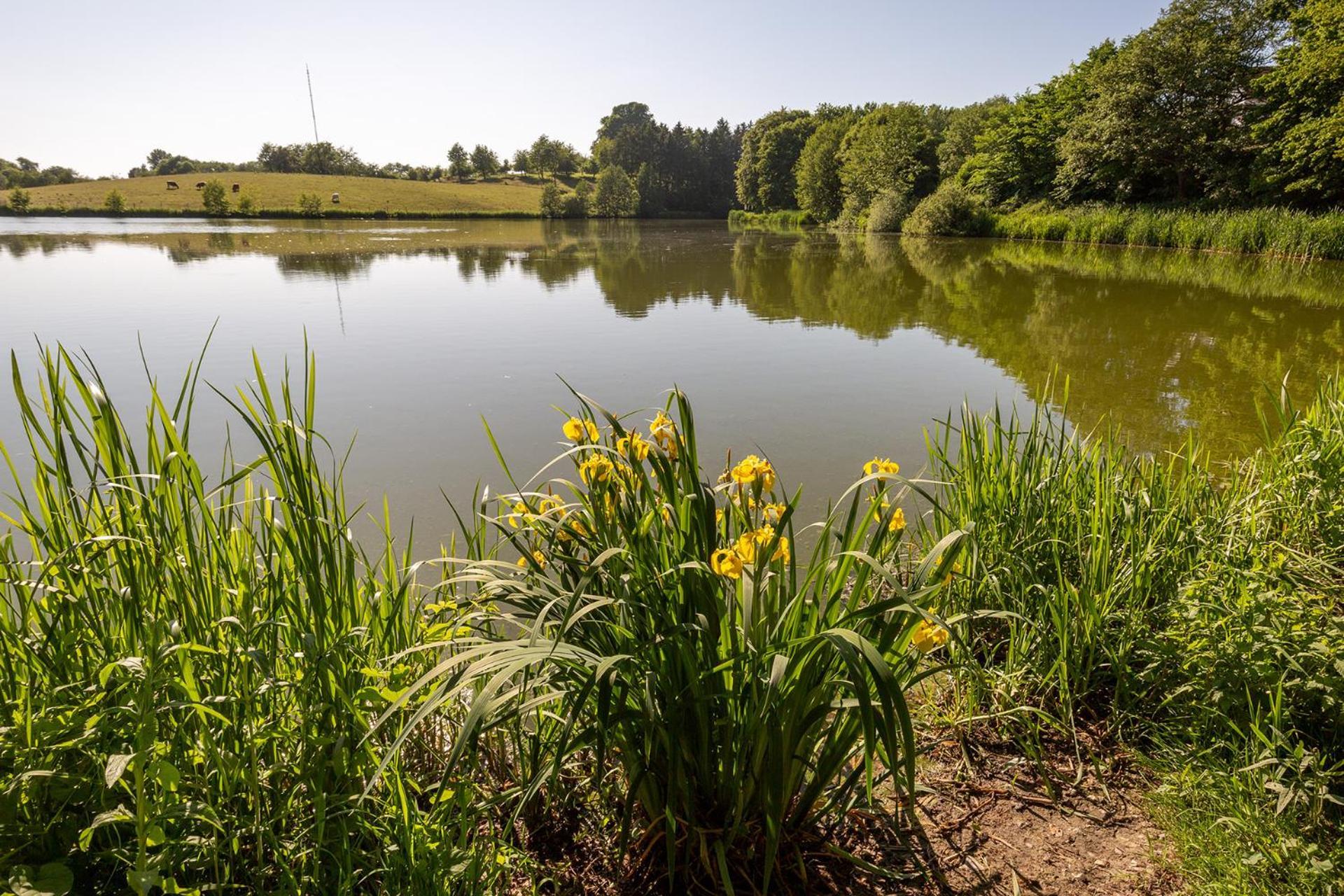 Ferienhaus Am Moenchneversdorfer See Schonwalde am Bungsberg Eksteriør bilde